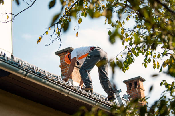Quick and Trustworthy Emergency Roof Repair Services in Arcola, VA