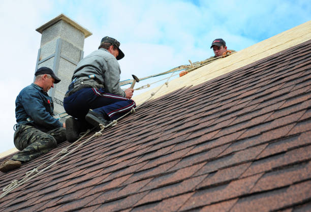 Best Best Roofing Contractors  in Arcola, VA